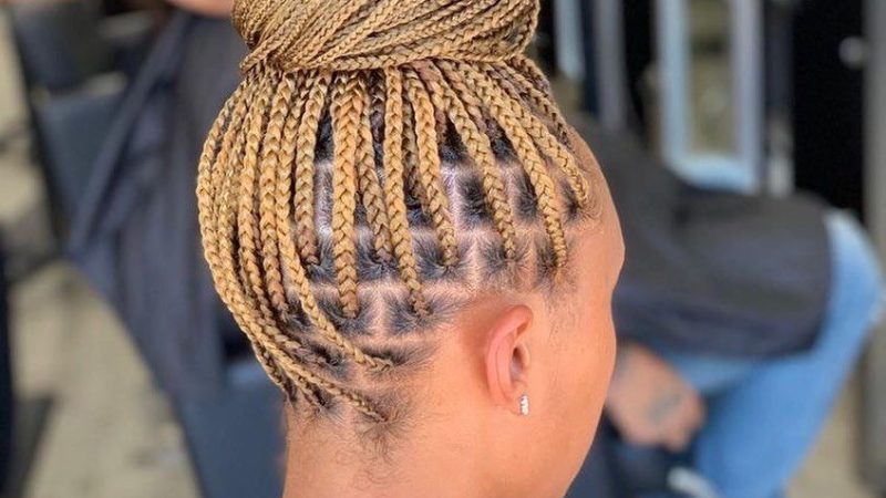 Unveiling the Trend: Knotless Braid Styles of 2022