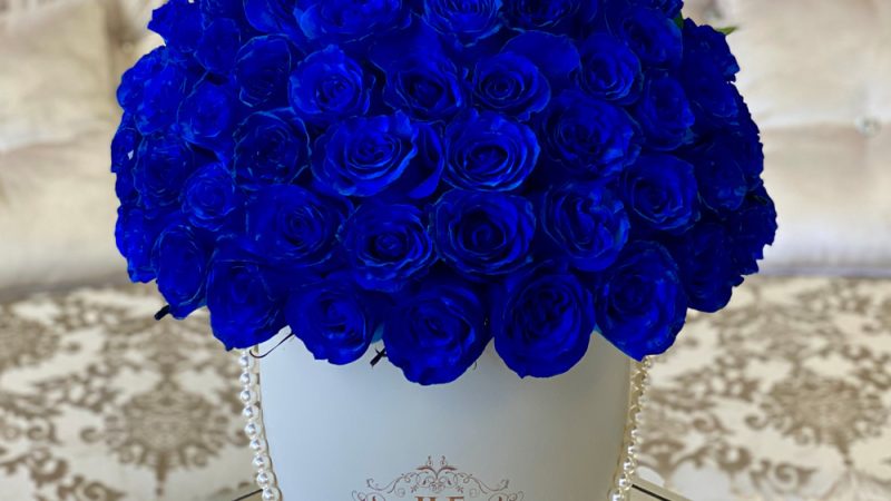 Blue Roses