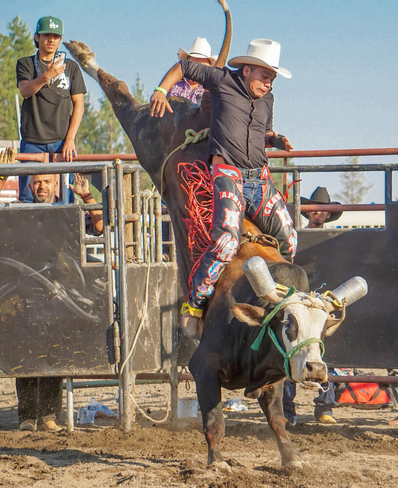 Jaripeo