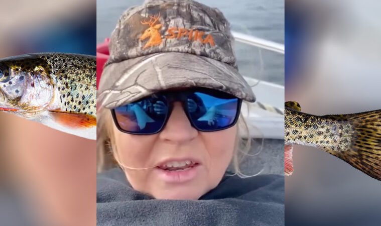 Trout Lady Video