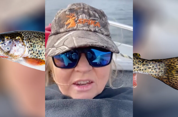 Trout Lady Video