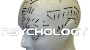 A Comprehensive Exploration of “Crash Course Psychology”