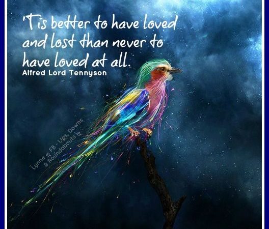 It’s Better to Have Loved and Lost