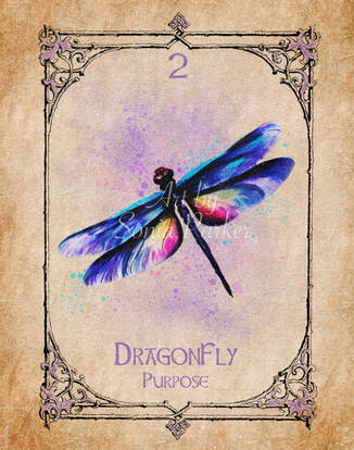 The Symbolic Majesty of the Dragonfly: Unraveling its Meaning Across Cultures and Contexts