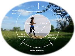 Understanding Non-Commitment: The Complex Nature of Avoidance in Modern Relationships and Societal Engagement