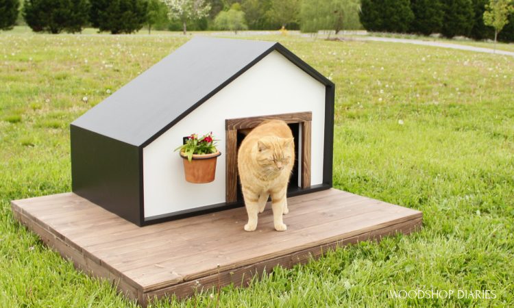 Building and Maintaining an Outdoor Cat House: A Comprehensive Guide