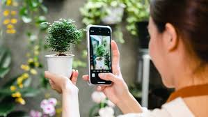 Free Plant Identifier Apps: The Ultimate Guide