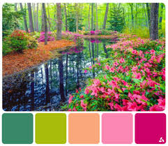 Spring Colors: A Vibrant Celebration of Nature’s Renewal